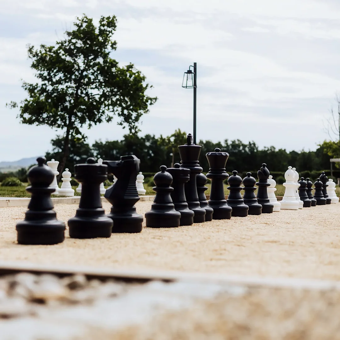 Aire de jeux à La Grange aux Camélias, Roanne 42