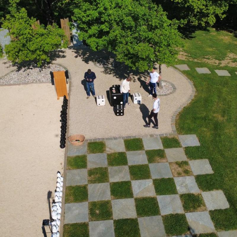 Vue aérienne - La Grange aux Camélias